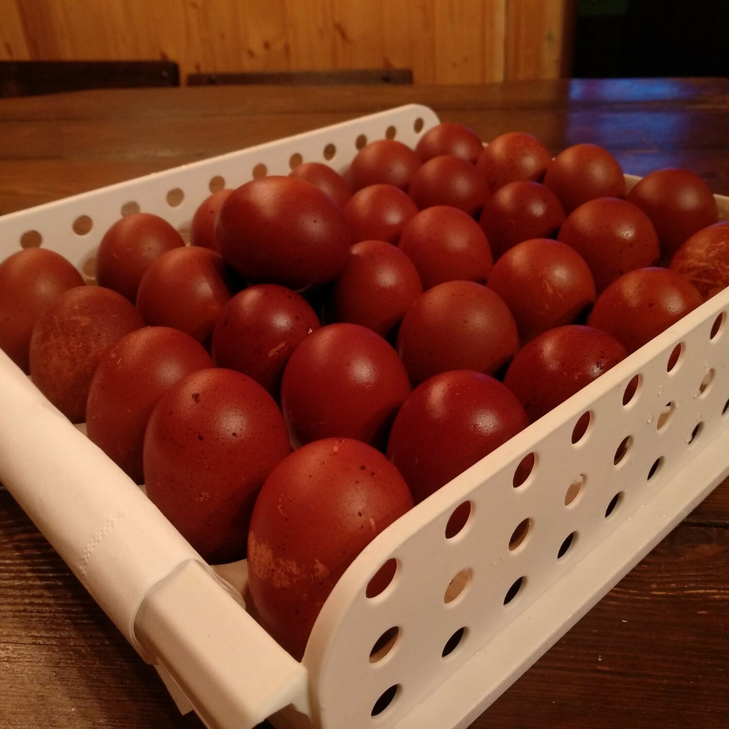 ИНКУБАЦИОННОЕ ЯЙЦО КУР МАРАН&nbsp;